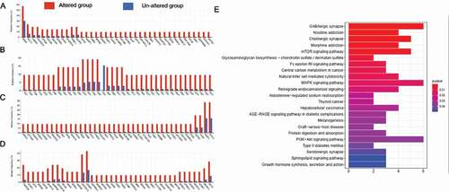 Figure 6. (a,b,c,d) Comparisons of the mutation frequencies of genes between the RBM10 mutation and wild-type groups of lung adenocarcinoma (LUAD) patients (p value<0.01). (e) KEGG analysis of the genes with differential mutation rates