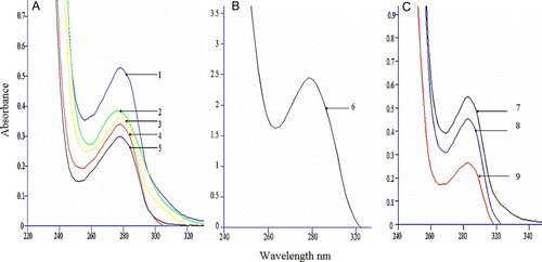 Figure 2.  UV-visible spectra of the complete antigen. ‘A’ is the UV-visible spectra of MBP-BSA with different conjugate ratios. 1-3: MBP-BSA (conjugate ratios are 27, 14.7 and 9, respectively), 4: reagent-treated BSA, 5: BSA. ‘B’ is the UV-visible spectra of MBP. 6: MBP. ‘C’ is the UV-visible spectra of MBP-OVA. 7: MBP-OVA, 8: reagent-treated OVA, 9: OVA.