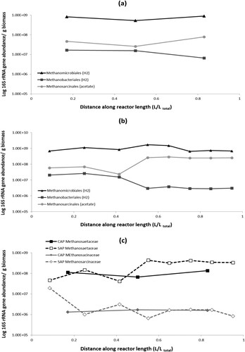 Figure 7. Microbial community qPCR data for three orders of methanogenic archaea, two hydrogenotrophic and one acetoclastic, in the (a) control anaerobic pond (CAP) and (b) staged anaerobic pond (SAP), and (c) two families of the Methanosarcinales order in the CAP and SAP.