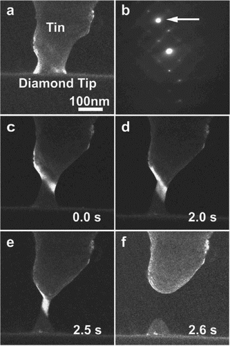Figure 3. Surface diffusion mediated deformation of a Sn nano-ligament [Citation24]. (a) Sample before tensile test. (b) Selected area diffraction pattern. (c–e) Dynamic evolution showing the elongation, narrowing down and grain boundary plating. (f) The morphology of the fractured nano-ligament.
