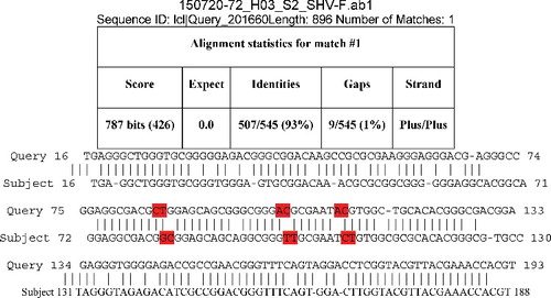 Figure 5. Sequence alignment for SHV-1 between S1F: (control; 10% DMSO) and treated with organic alkaloid at 4.4 mg/mL treated E. coli (isolate 17). Highlighted sequences indicated alterations.