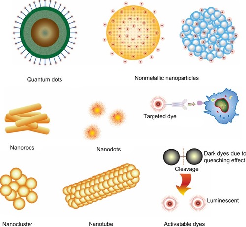 Figure 2 Structural characteristics of nanoparticle-based NIRF probes.Notes: QDs are comprised of a core/shell structure and a coating that minimizes their potential toxicity. Furthermore, specific moieties with targeting ability can be linked to the surface. Nonmetallic nanoparticles include dye-loaded micelles and polymer-based structures that retain NIRF dyes inside or on the surface. Nanorods, nanodots, nanoclusters, and nanotubes are mainly developed using gold nanomaterials. Most of the targeted dyes are linked with moieties that have selective binding activity. Activatable NIRF dyes originally have little fluorescence emission; when disintegrated, these dyes emit strong fluorescence.Abbreviations: NIRF, near infrared fluorescent; QDs, quantum dots.