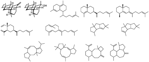 Fig. 5. Novel terpenes obtained from heterologous expression of silent terpene synthase genes.