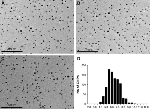 Figure 1 Characterization of core GNPs. (A–C) TEM image of core GNPs. (D) Size distribution of GNPs determined by ImageJ software. The diameter was 6.3±1.1 nm (mean±SD).Abbreviations: GNP, gold nanoparticle; TEM, transmission electron microscopy.