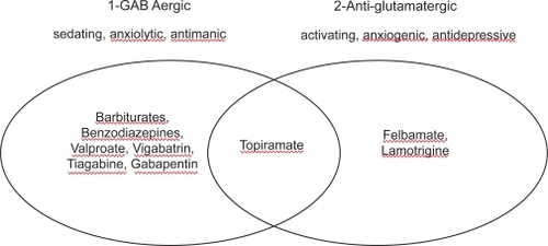 Figure 1 Main categories of psychotropic profiles of anticonvulsants. Modified from CitationKetter et al (1999).