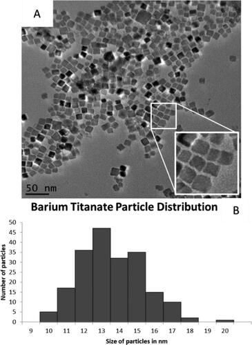Figure 1. Barium titanate nanocubes. (A) Monodispersed cubic particles can be seen in the TEM images. (B) Size distribution of 200 measured particles with an average width of 13 ± 2 nm.