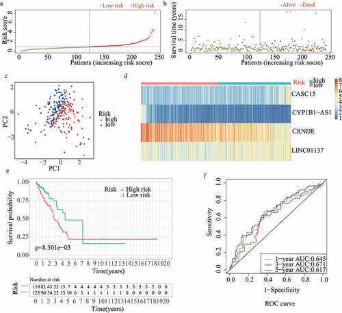 Figure 2. Internal validation of redox-LPS in test1 cohort. (A) Group division in test1 cohort. (B) Distributions of risk score and survival status in test1 cohort. (C) PCA in test1 cohort. (D) Heatmap about the expression levels of the four lncRNAs involved in the signature in test1 cohort. (E) Survival curve of test1 cohort. (F) ROC curves of test1 cohort