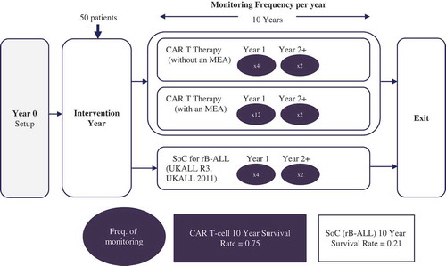 Figure 1. Treatment arms and monitoring frequency.