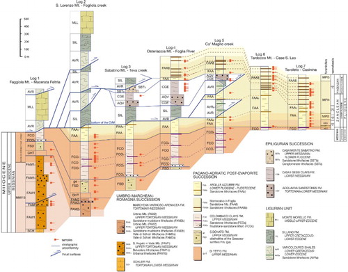 Figure 5. Detailed stratigraphic correlation scheme showing relationships among pre-and post-evaporites autochthonous foredeep deposits, Pliocene pre-and post-emplacement of the CVM, and the Ligurian and Epiligurian formations of the easternmost outcrops of the CVM (Teva Valley and Auditore area in the southeastern part of the geological map); the small red squares indicate sample used for biostratigraphy in CitationCornamusini, Conti, et al. (2009). Nannofossil biostratigraphic zones from CitationRio, Rafﬁ, and Villa (1990), foraminifera biostratigraphic zone from CitationIaccarino et al. (2007).