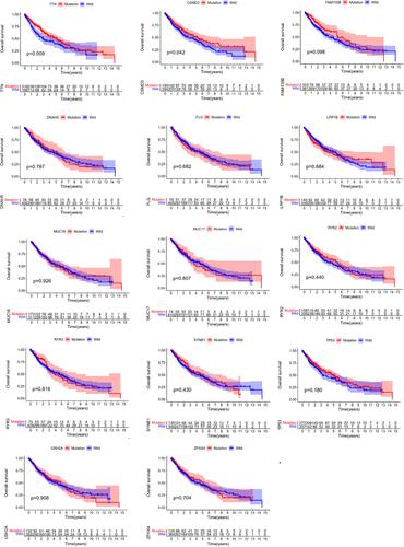 Figure 4 TTN mutation is associated with clinical prognosis. Kaplan Meier survival analysis was used to determine survival curves that reflect the association between gene mutations and prognosis. The p-value is shown each plot.