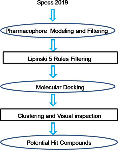 Scheme 1 The general workflow for discovering LMPTP inhibitors.