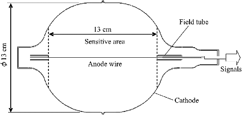 Figure 1. Cross-sectional view of the developed neutron detector.