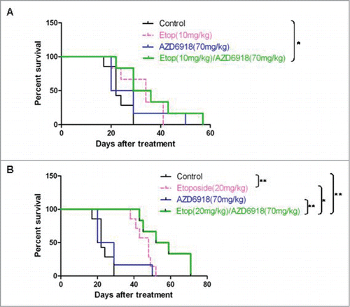 Figure 5. The combination effects of AZD6918 and etoposide on mice survival in vivo. Mice with TB3 tumors were treated with vehicle, AZD6918 (70 mg/kg), etoposide (10 mg/kg in A, 20 mg/kg in B) or a combination of AZD6918 and etoposide. The mice survivals in each group were plotted by Kaplan-Meier analysis. Median survival days in each group were calculated. *P < 0.05, **P < 0.01.