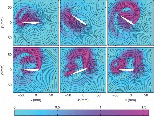Figure 12. CFD snapshots of the flow velocity.