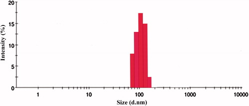 Figure 4. Particle size evaluation of OPNPs by DLS.