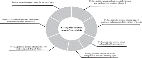 Figure 1. Main emerged category and subcategories.