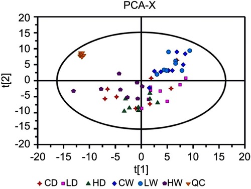 Figure S2 Score plots of the PCA model of all serum samples and QC samples. The parameters of PCA were 8 PC, R2X=0.709. QC samples were all together in one place, suggesting favorable reproducibility of the method.Abbreviations: PCA, principal component analysis; QC, quality control.