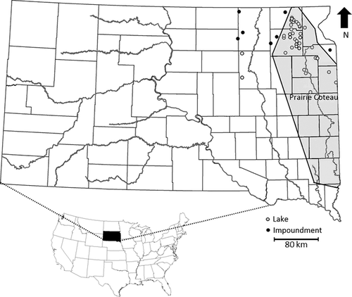 Figure 1. Locations of 38 lakes and seven impoundments where the condition and mortality of western painted turtles (Chrysemys picta bellii) captured as bycatch in modified fyke nets was assessed in northeast South Dakota during 2012–2014. The Prairie Coteau is highlighted in gray, and county boundaries and major rivers are shown.