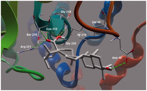 Figure 6. Molecular binding mode of ursolic acid inside active site of PTP13.