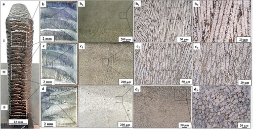 Figure 3. As-processed microstructure. (a) Side view of the M250 wall showing different sections and the sample cut from the wall for microstructural analysis; (b, b1, b2, b3) Microstructure in the top section of the M250 wall at different magnifications; (c, c1, c2, c3) Microstructure in the middle section of the M250 wall at different magnifications; (d, d1, d2, d3) Microstructure in the bottom section of the M250 wall at different magnifications.