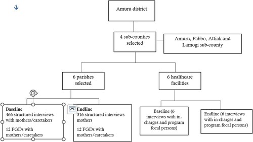 Figure 1. Comparison of the number of pregnant women attending the fourth ANC visit at baseline and endline in Amuru district.