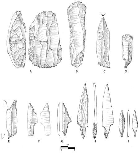 Figure 2. The lithic tool-set of the Hamburgian: A) single faced dual platform blade core, B) blade-end scraper with lateral retouch, C) symmetrical dihedral burin on blade, D) combination tool, E) double Zinken, F–G) Classic Hamburgian shouldered, and H–I) Havelte-phase tanged projectile point. The material stems from the A–G) Meiendorf 2, H) Jels 1, and I) Jels 2 inventories and are redrawn from Rust (Citation1937) and Holm and Rieck (Citation1992), respectively, by Louise Hilmar, Moesgaard Museum.