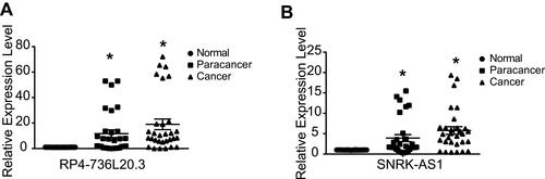 Figure 7 The differential expression of RP4-736L20.3 (A) and SNRK-AS1 (B) in HCC patients. Dot plot of the RT-qPCR results of RP4-736L20.3 and SNRK-AS1 in HCC patients’ normal, paracancer and cancer samples. *p<0.05 is regarded significant.