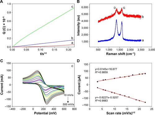 Figure 4 Characterization of the modified electrodes.Notes: (A) Chronocoulometric curves of (a) GE, (b) rGO-PAMAM-Fc/GE and (c) Au NPs/rGO-PAMAM-Fc/GE for the reduction of 5 mM K3[Fe(CN)6] in 0.1 mol/LPBS. (B) Raman spectrum of (a) rGO/GE, (b) ChOx&ChEt/Au NPs/rGO-PAMAM-Fc/GE. (C) CV for ChOx&ChEt/Au NPs/rGO-PAMAM-Fc/GE in PBS containing 5 mM Fe(CN)63−/4− (scan rate: 10–500 mV/s, scan range: −0.2–0.6 V). (D) The relationship between the square root of the scan rate and the peak current curves, Ipa and Ipc.Abbreviations: CV, cyclic voltammetry; Fc, ferrocene; GE, gold electrode; NPs, nanoparticles; PAMAM, polyamidoamine; rGO, reduced graphene oxide.