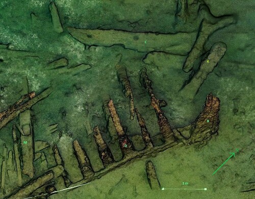 Figure 8. Orthographic 3D view of the stern area. On top of the rudder (C) and next to the tiller (K) is a fallen floor timber, with a tenon in the end for attachment to the keel. Between the standing floor timbers (D) and the rudder (C) are several futtocks which have fallen outwards. Further documentation of these would enable a reconstruction of the hull shape of the entire stern. The distance from the in situ part of the sternpost (B) to what has been interpreted as the mizzen mast step (M) is c.4 m. If this is near its original position it indicates the approximate location of the mizzen mast. (Detail from 3D photo plan by Paola Derudas and Brett Seymour, The Gripshund Project).