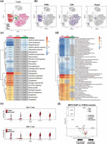 Figure 2. Differential transcriptomic analysis of T cells between the FVB/NJ and MMTV-PyMT samples