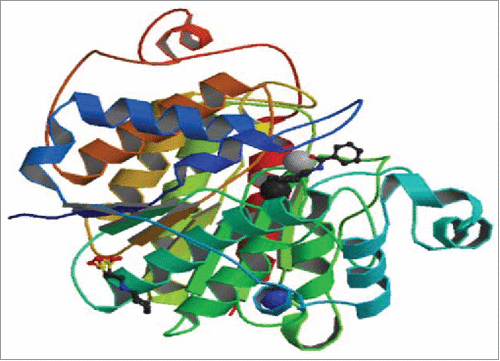 Figure 1a. The X-ray crystallographic structure of human HDAC enzyme complexed with an N-(2-aminophenyl) benzamide was retrieved from Research Collaboratory for Structural Bioinformatics (RCSB) Protein data Bank (PDB, ID: 3MAX) (http://www.rcsb.org/pdb)