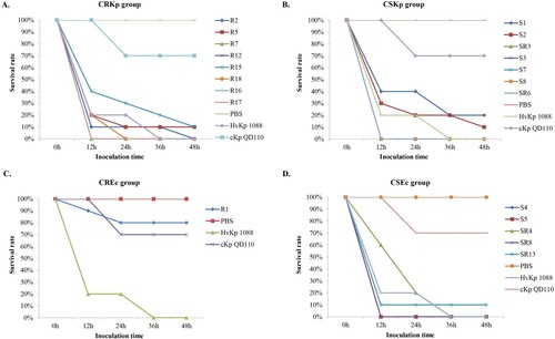 Figure 5. Virulence potential of K. pneumoniae and E. coli strains in a G. mellonella infection model. The effect of 1 × 106CFU of each strain on survival was assessed in G.mellonella. (A) CRKp group. (B) CSKp group. (C) CREc group. (D) CSEc group.