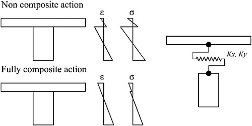 Figure 21. Composite action of beam and wooden boards. Top left, non-composite action. Bottom left, fully composite action. Right, the model implemented for the study.