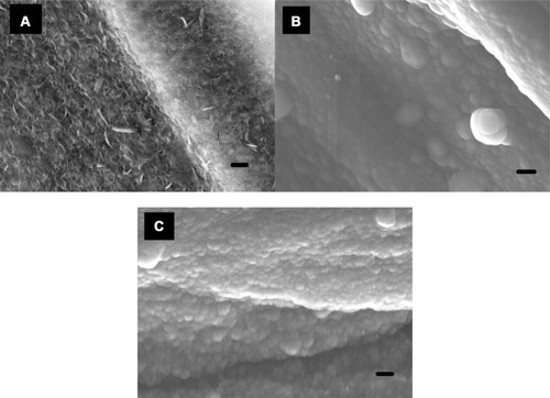 Figure 1 Scanning electron microscopy images of (A) Mg-Zn control, (B) Mg-Zn-TiO2 (150°C), and (C) Mg-Zn-TiO2 (200°C); scale bars are 200nm.Abbreviations: Mg, magnesium; Zn, zinc; TiO2, titanium dioxide.