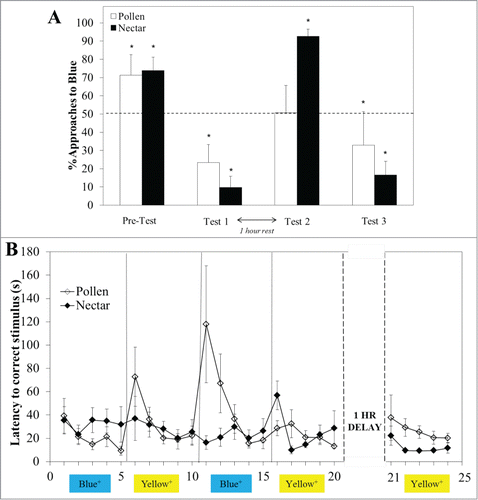 Figure 2. Pollen (white bars, mean% approaches to blue +/− SE, N = 15) and sucrose-rewarded (black bars, N = 12) bees showed a strong preference for blue prior to training (A). The rewarded color was switched every 5 trials, for 20 trials, after which bees from both groups had a preference for Yellow, the last rewarded color (Test 1). After a one-hour rest however, pollen rewarded bees chose both colors equally (N = 6), whereas sucrose-rewarded bees (N = 6) strongly preferred Blue (Test 2). In the final bout of training to yellow, both groups preferred this color (Test 3). During each 5-trial bout, both pollen (white diamonds, mean latency +/− SE) and sucrose-rewarded bees (black diamonds) showed a reduction in search time between the first and last trial (B), though pollen-rewarded bees exhibited longer search times immediately following a color reversal.