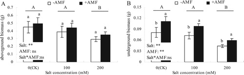 Figure 1. Effects of AMF inoculation on aboveground biomass (A) and underground biomass (B) of alfalfa under salt stress.