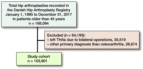 Figure 2. Flowchart of total hip arthroplasty (THA) cohort.