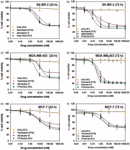 Figure 5. Cytotoxicity of HSA-PEG/PTX in various human breast cancer cells. Cell viability was determined by MTT assays after 24 h (a–c) and 72 h (d–f) incubation with the indicated formulation. (a, d) Cytotoxicity of HSA-PEG/PTX in SK-BR-3 cells. (b, e) Cytotoxicity of HSA-PEG/PTX in MDA-MB-453 cells. (c,f) Cytotoxicity of HSA-PEG/PTX in MCF-7 cells. HSA-PEG, PTX dissolved in DMSO and Abraxane® were used as controls.