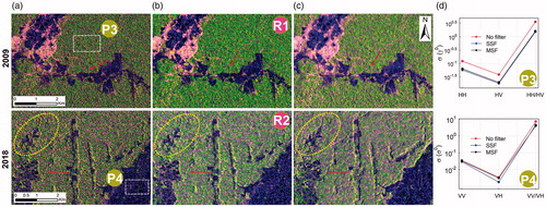 Figure 10. Column (a) shows SAR images without a speckle filter, column (b) images with SSF, column (c) shows a Multi-temporal Speckle Filter (MSF). To evaluate the reduction of speckle noise we used three indicators: (i) visual interpretation, (ii) Signal Level Ratio (SLR) (White et al. Citation2020), and (iii) the standard deviation of the intensity before and after applying filters for areas with higher signal echo intensity (P3) and areas with lower signal echo intensity (P4) (column d). The parameters for the MSF filter were used by default: (i) filter: filter Lee, (ii) Number of looks: 1, (iii) Window size: 7 × 7, and (iv) Sigma: 0.9.