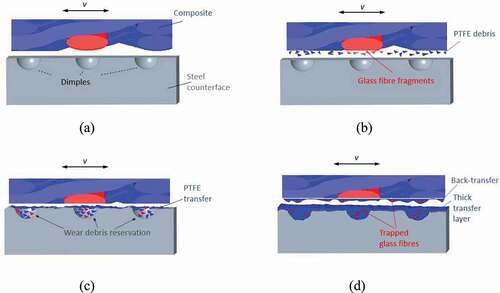 Figure 13. Schematic diagram of the sliding between the PTFE/glass fibre composite and the dimpled counterface: (a) the starting state of the sliding contact; (b) the generation of PTFE and glass fibre debris from sliding contact; (c) the initial transfer of PTFE, scratching of the counterface and the reservation of debris; (d) the formation of thick transfer layer and back-transfer.