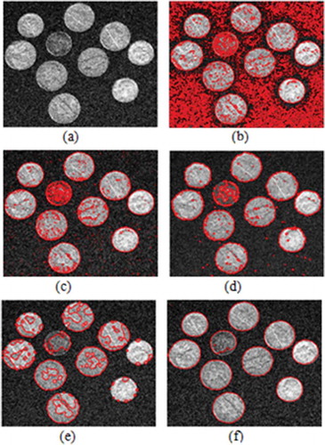 Figure 8. (a) Noisy Image with Gaussian Noise Density of σ = 0.02. Results using (b) C. Li et al. (Citation2011) (c) W. Cui et al. (Citation2013) (d) Y. Chen et al. (Citation2009) (e) B.N. Li et al. (Citation2011) (f) proposed method.