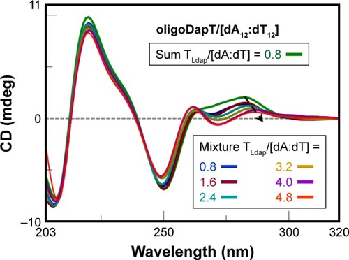 Figure 7 CD analysis at 5°C in a two-chamber cell (optical path = 0.875 cm): sum (green) spectrum of oligoDapT (4, 4 μM in TLdap) and the DNA duplex dA12:dT12 (5 μM in dA:dT) solutions and mixture spectra at various TLdap/[dA:dT] ratios in PBS buffer (pH 7.5).Abbreviations: CD, circular dichroism; PBS, phosphate-buffered saline.