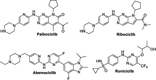 Figure 1. Chemical structure of the clinically used (palbociclib, abemaciclib and ribociclib) or currently in clinical trials (roniciclib) CDK inhibitors.