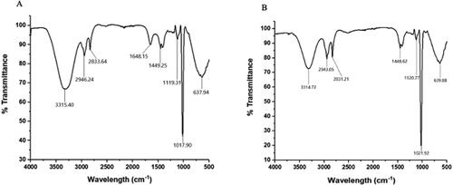 Figure 6. FTIR spectrum of (A) synthesised Ah-AgNPs and (B) aqueous leaf extract.