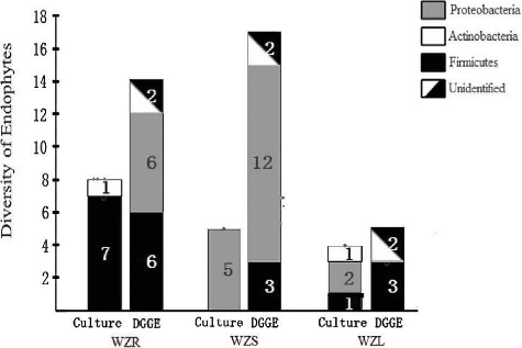 Figure 1. Comparison of phylum level distributions for three tissue types from culture and DGGE methods.