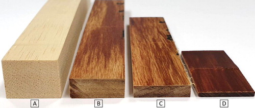 Figure 1. Poplar specimens prepared for flexure tests. (A) un-densified 15 mm thickness, (B) densified to 7 mm, (C) densified to 5 mm, and (D) densified to 2 mm.