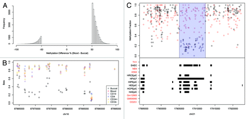 Figure 2. (A) The methylation difference between blood and buccal for the BS-Seq tDMRs which were filtered for methylation differences > 50%. A large proportion are less methylated in buccal (Blood-Buccal > 0) (B) An example of a buccal specific hypomethylated region on the Illumina 450K when compared with Blood, CD14, CD4, CD34+ and CD34-. (C) A buccal hypomethylated tDMR which overlaps with epithelial DNaseI hotspots but does not overlap with any blood DNaseI hotspots. The top panel shows the methylation fraction for blood (red) and buccal (black) as measured by BS-Seq, with the called tDMR highlighted using a blue rectangle. The bottom panel shows regions of DNaseI hotspots for various different cell types as downloaded from ENCODE. Those cell types that are associated with blood have been highlighted in red while those associated with epithelial cells are highlighted in black.