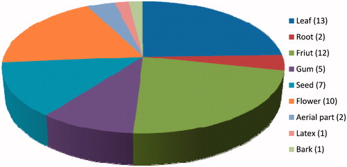 Figure 6. Number of plant species per plant part used for herbal oil preparation.