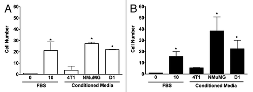Figure 1. 3D invasions of NMuMG and 4T1 cells are increased by conditioned media from both mammary epithelial cells and D1 mesenchymal stem cells. Migration of NMuMG (A) and 4T1 cells (B) following a 5-d incubation with CMs derived from 4T1, NMuMG, and the mesenchymal stem D1 cells were quantified using 3D migration assays (see Materials and Methods section for details). Serum-free and 10% FBS–DMEM media were used as negative and positive controls, respectively. Representative microphotographs of cells migrating out of the wells for each condition were captured following the 5-d incubation. In experiments repeated at least 3 times, the cells moving toward different control and CMs were counted. Data were analyzed by one-way ANOVA and differences between treatment groups tested using the Student Newman–Keuls post-hoc test. *P < 0.05 compared with negative control (0% FBS).