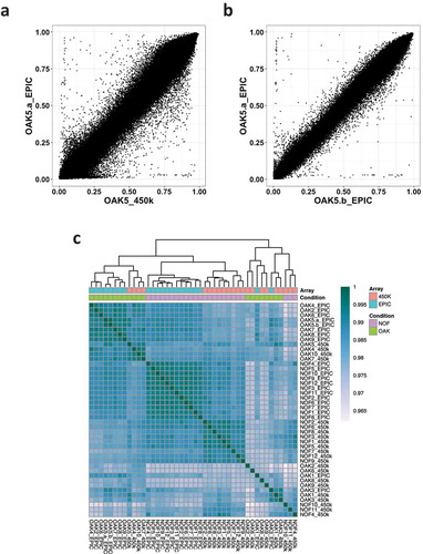 Figure 1. Correlation of normalized methylation β values in 450K vs EPIC arrays. (a) Correlation of β values between the OAK5 cartilage sample assayed on the 450K array and the EPIC array (Pearson’s r = 0.99). (b) β value correlation of the same sample (OAK5) assayed twice on the EPIC array (Pearson’s r = 0.99). (c) β value correlation heatmap of all 21 cartilage samples assayed on both the 450K and EPIC arrays.